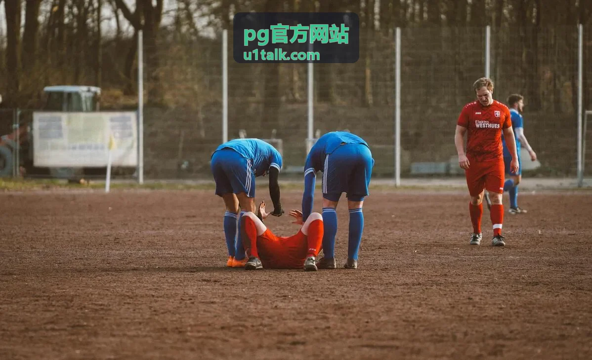 pg官方网站操作流程指引频道封面