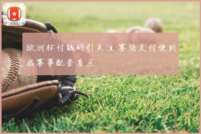欧洲杯付钱码引关注 赛场支付便利成赛事配套看点