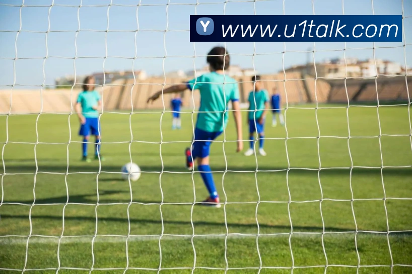 买球官方平台生态图