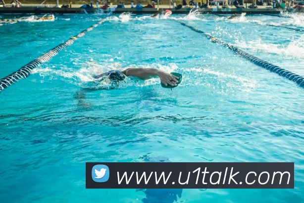 买球官方APP 封面图